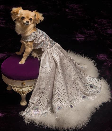 most expensive dog clothes.